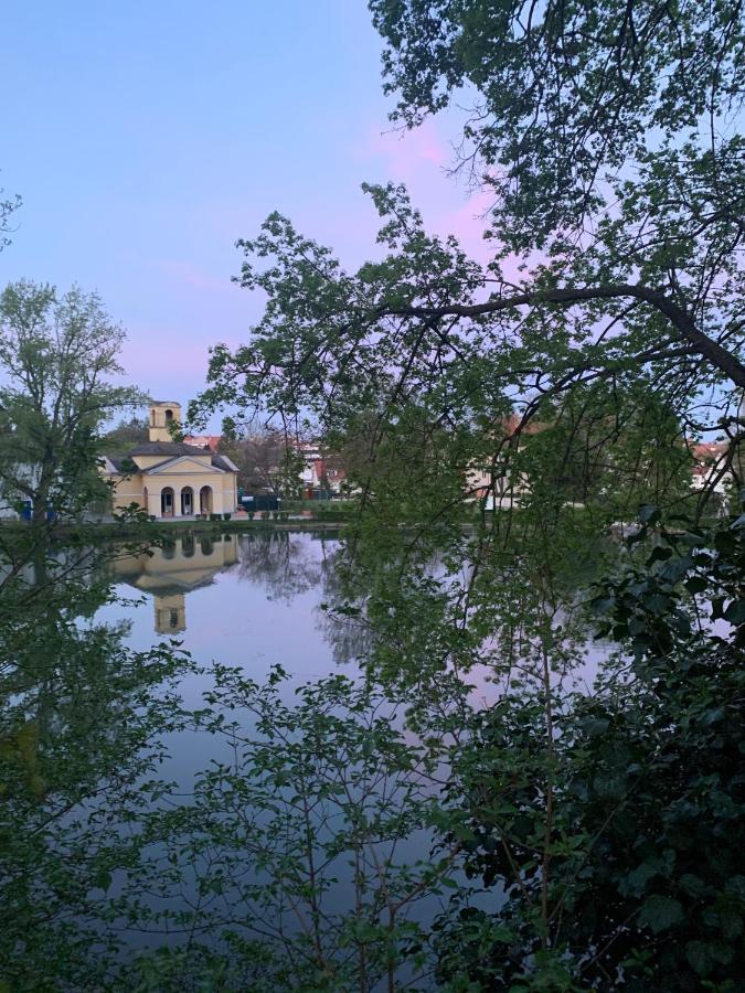 Turm Am Schlosspark Eisenstadt Eksteriør bilde