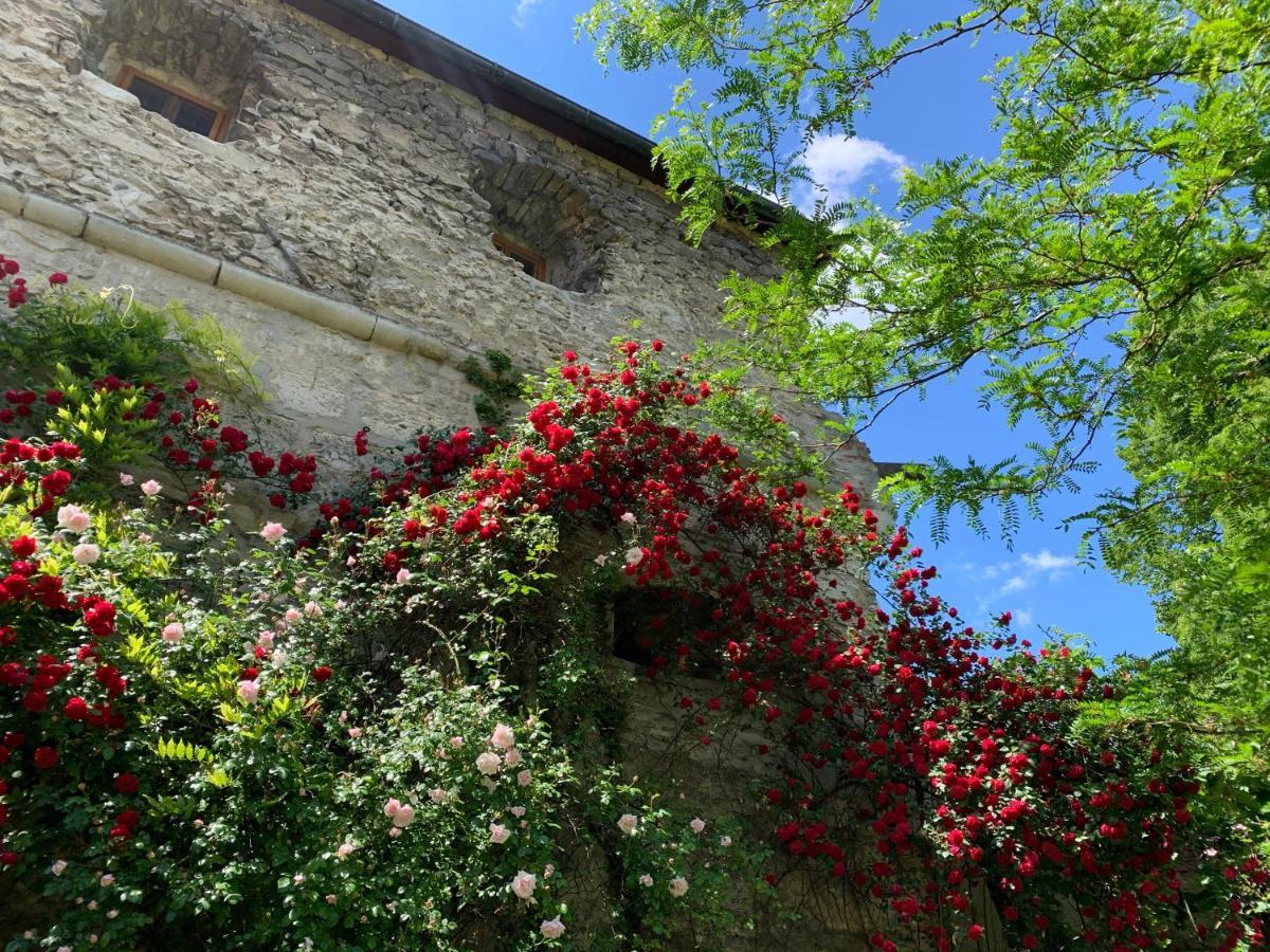 Turm Am Schlosspark Eisenstadt Eksteriør bilde